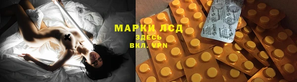 ПСИЛОЦИБИНОВЫЕ ГРИБЫ Алзамай