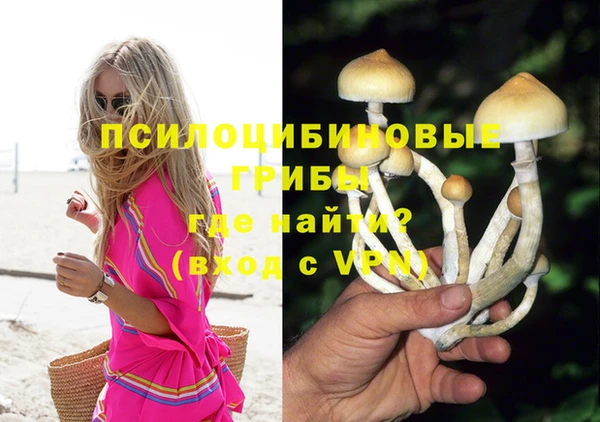 Альфа ПВП Алексин
