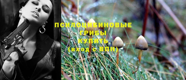 Альфа ПВП Алексин