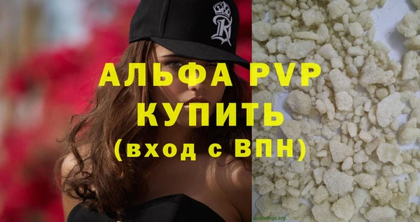 прущие грибы Саяногорск