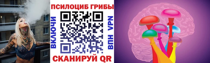 OMG вход  как найти закладки  Артёмовский  Галлюциногенные грибы прущие грибы 